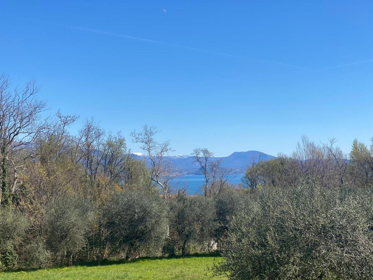 Luxury Apartments - Le Fate - Residence With Pool Manerba del Garda Exteriör bild